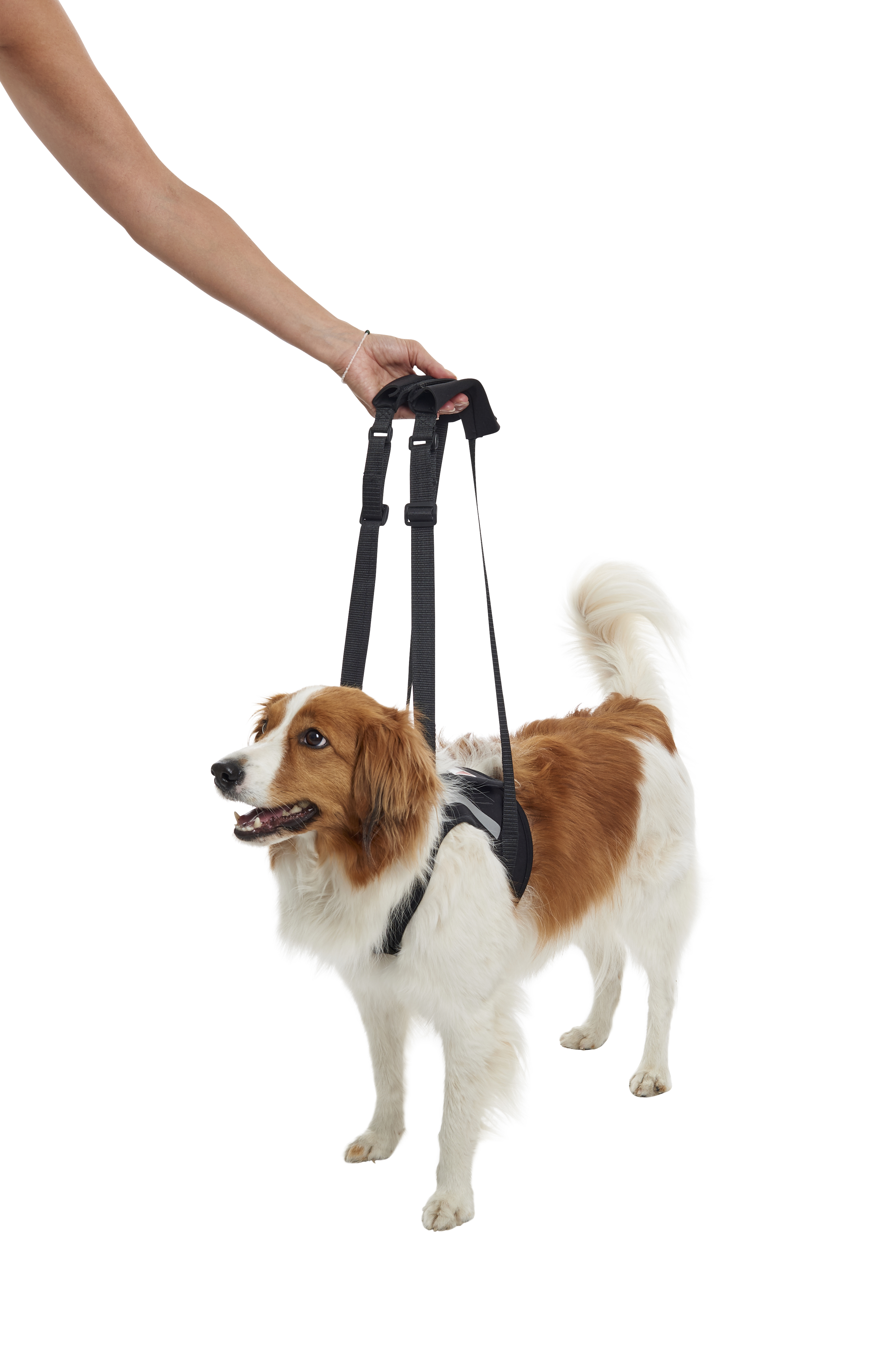KRUUSE Rehab Lifting Harness, front legs, XS