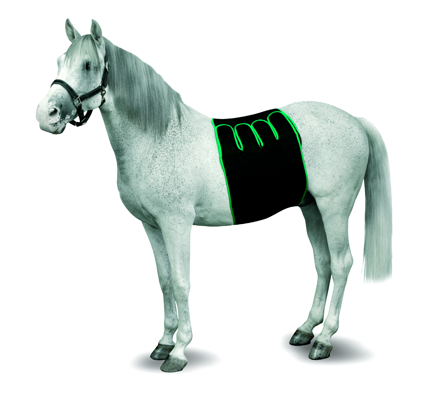 KRUUSE Foal Recovery Bandaging, S