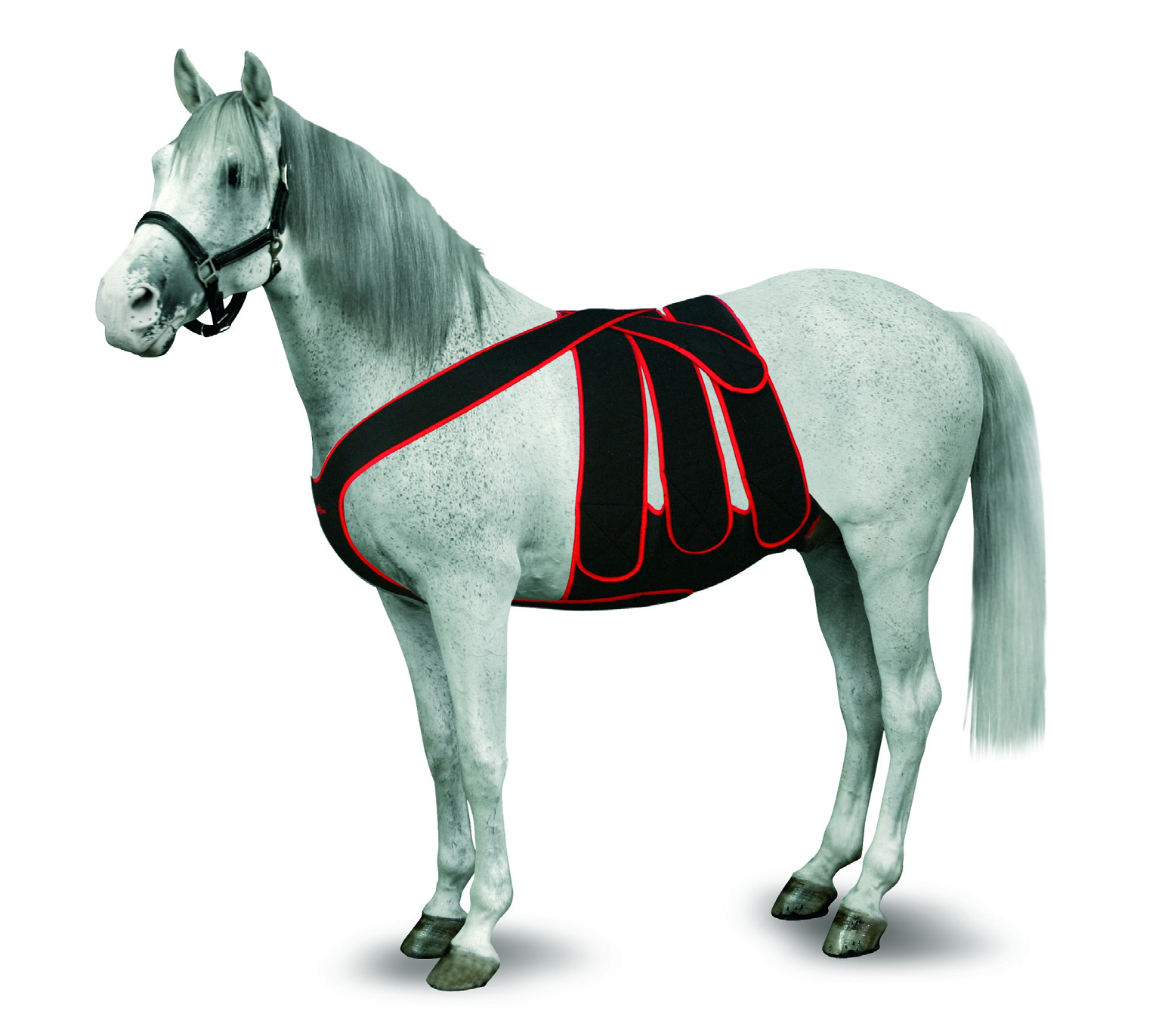KRUUSE Equine Post Colic Surgery Kit, size S