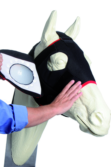 KRUUSE Equine Spare Full Perforated Eye Protector, size S (165242)