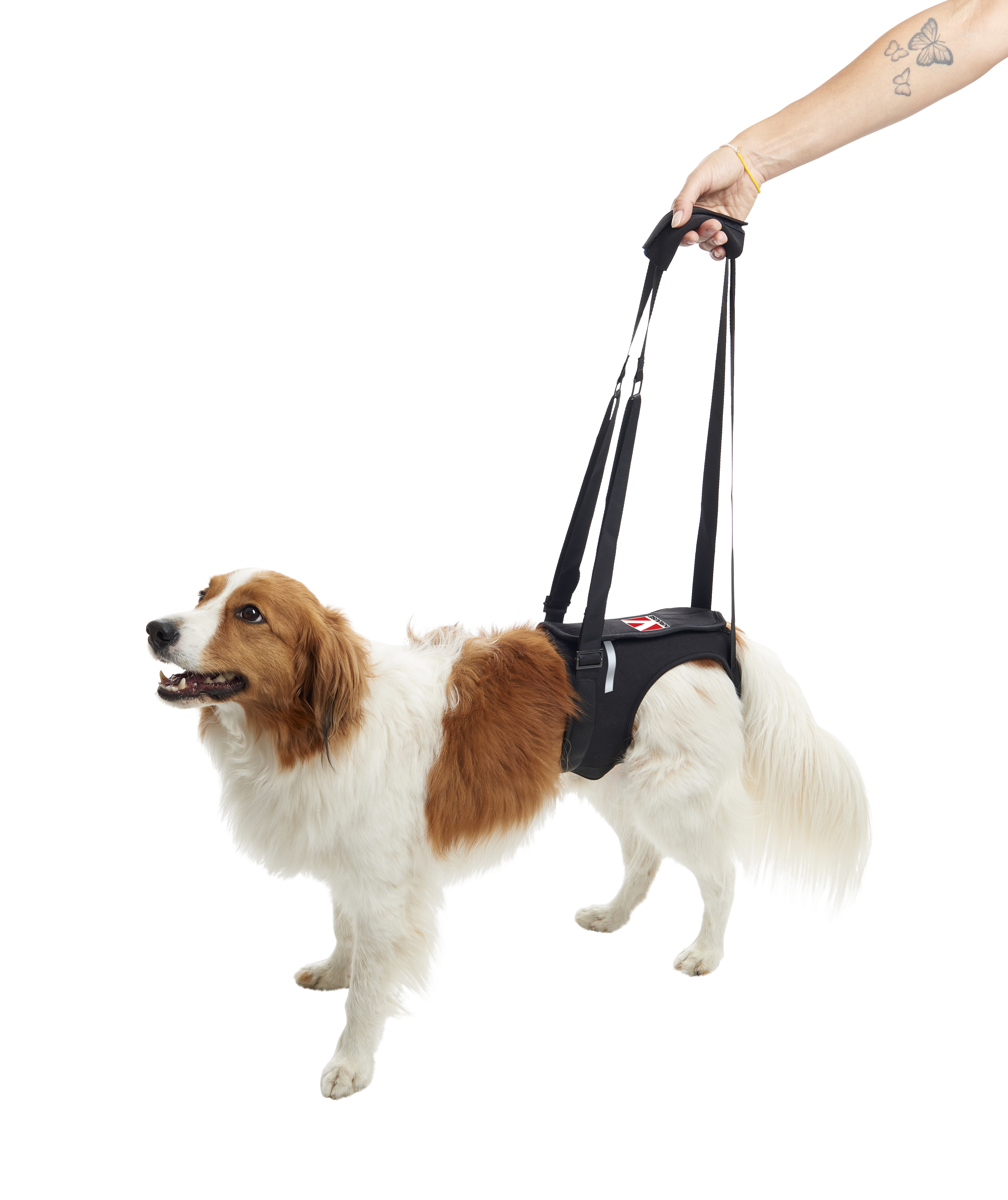 KRUUSE Rehab Lifting Harness, hind legs