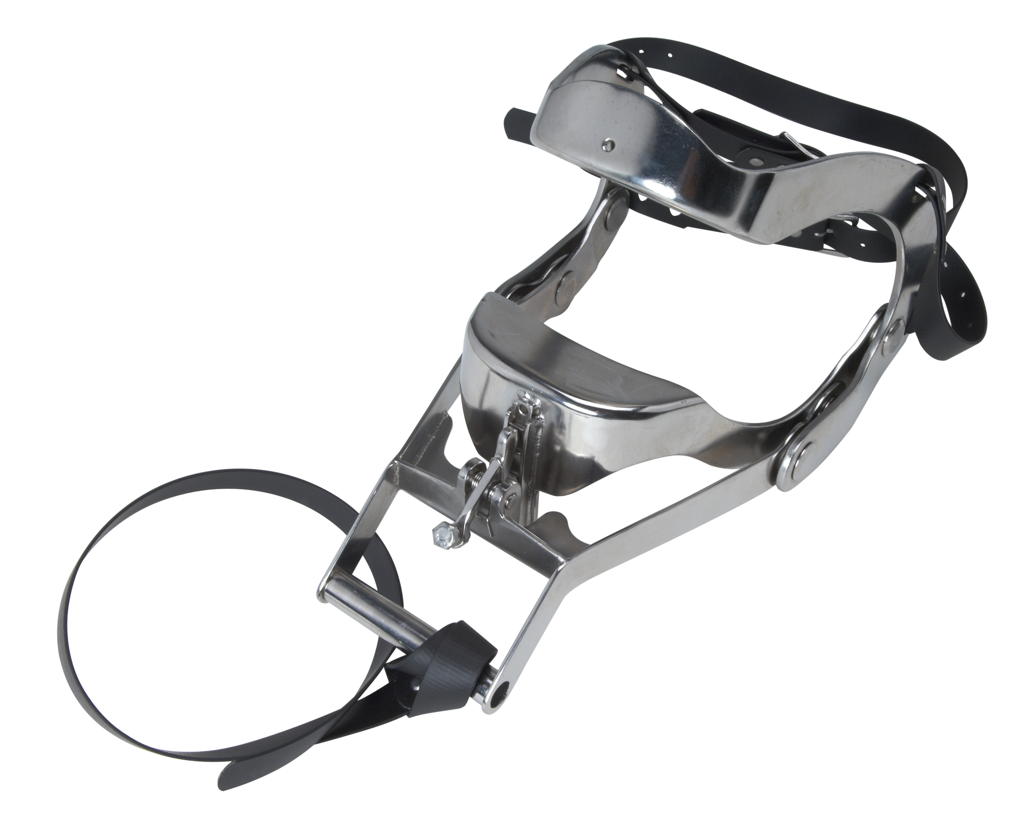 EQUIVET Meister Speculum