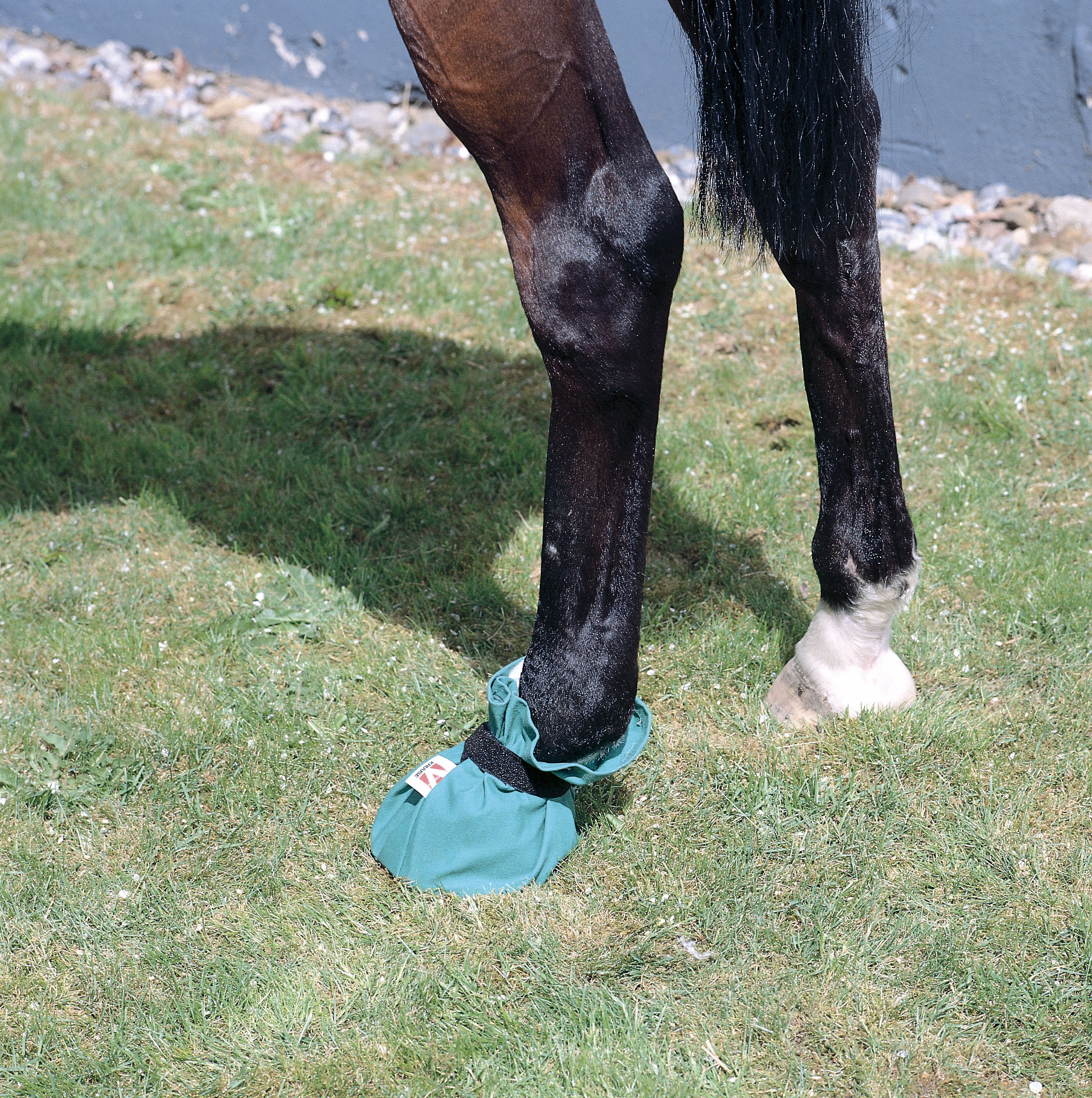 EQUIVET Hoof-it Bag, 16 cm, L
