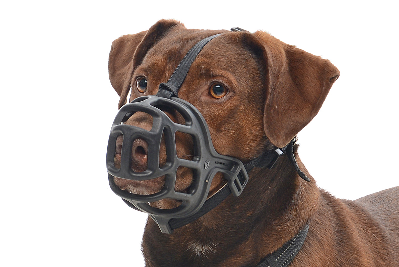 BUSTER Extreme dog muzzle, size 1