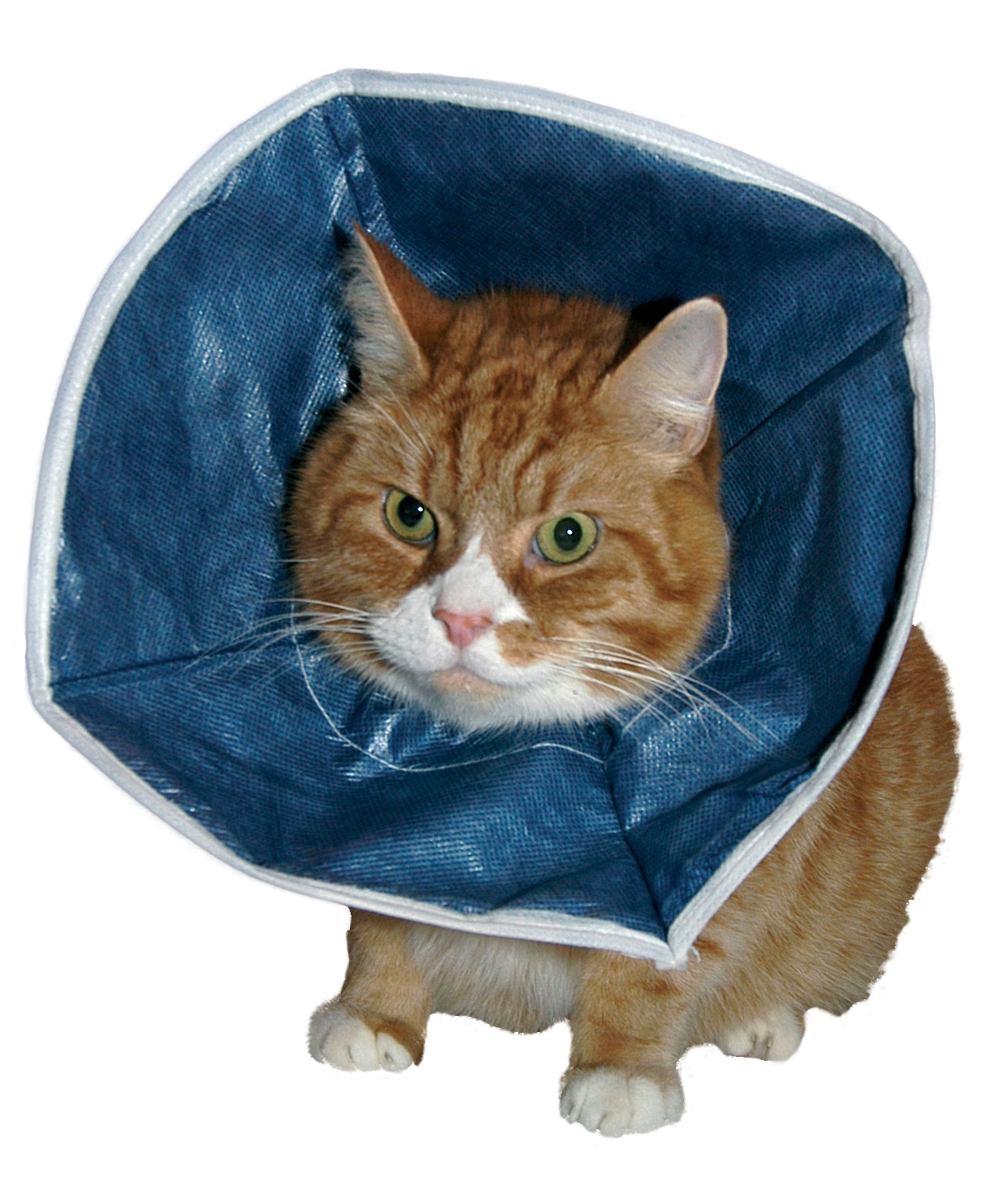 BUSTER Soft Collar, for cats & small dogs, 10/pk