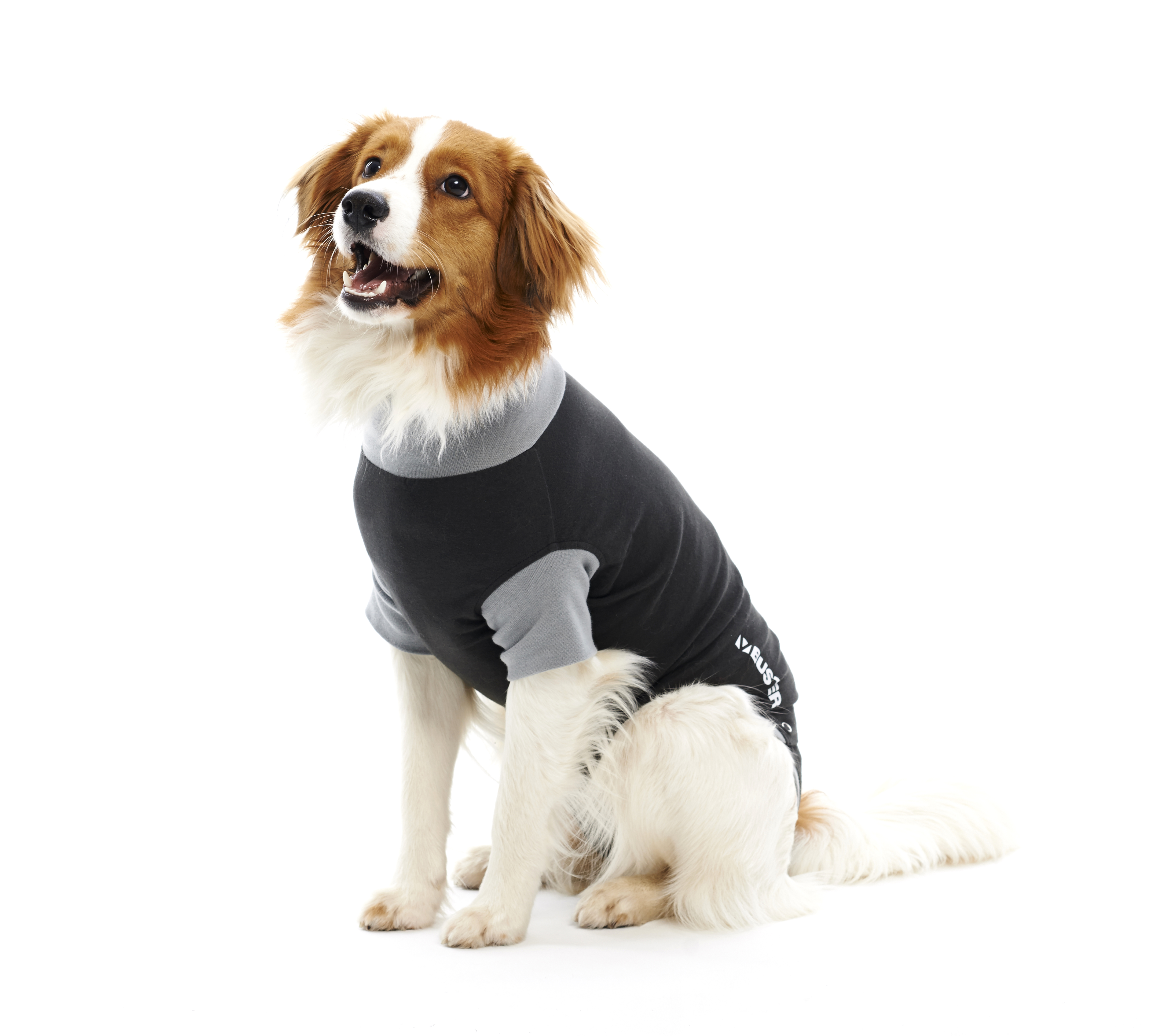 BUSTER Body Suit EasyGo for dogs, black/grey, 25 cm, size XXXS