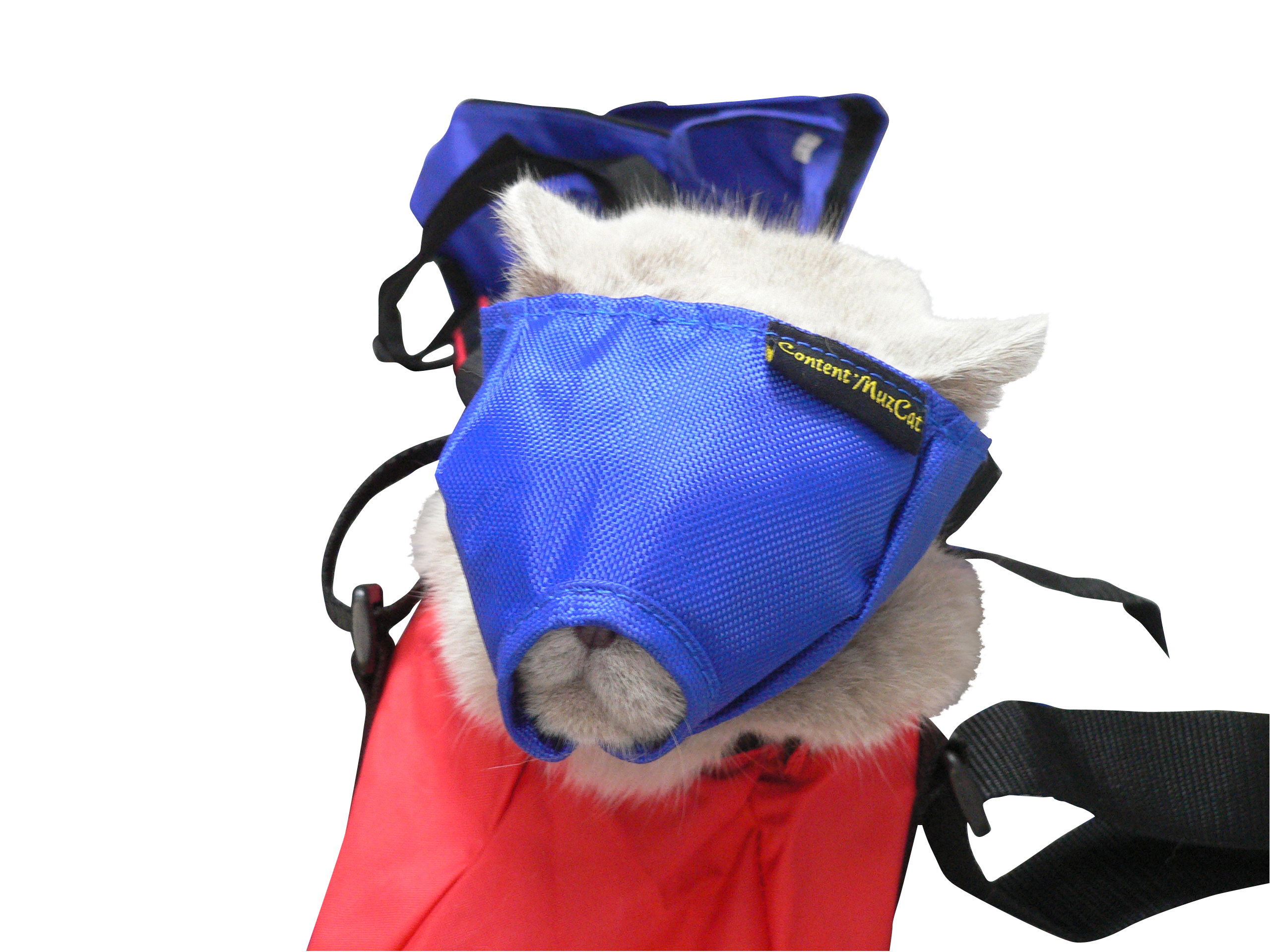 BUSTER Vet nylon muzzle for cat, S