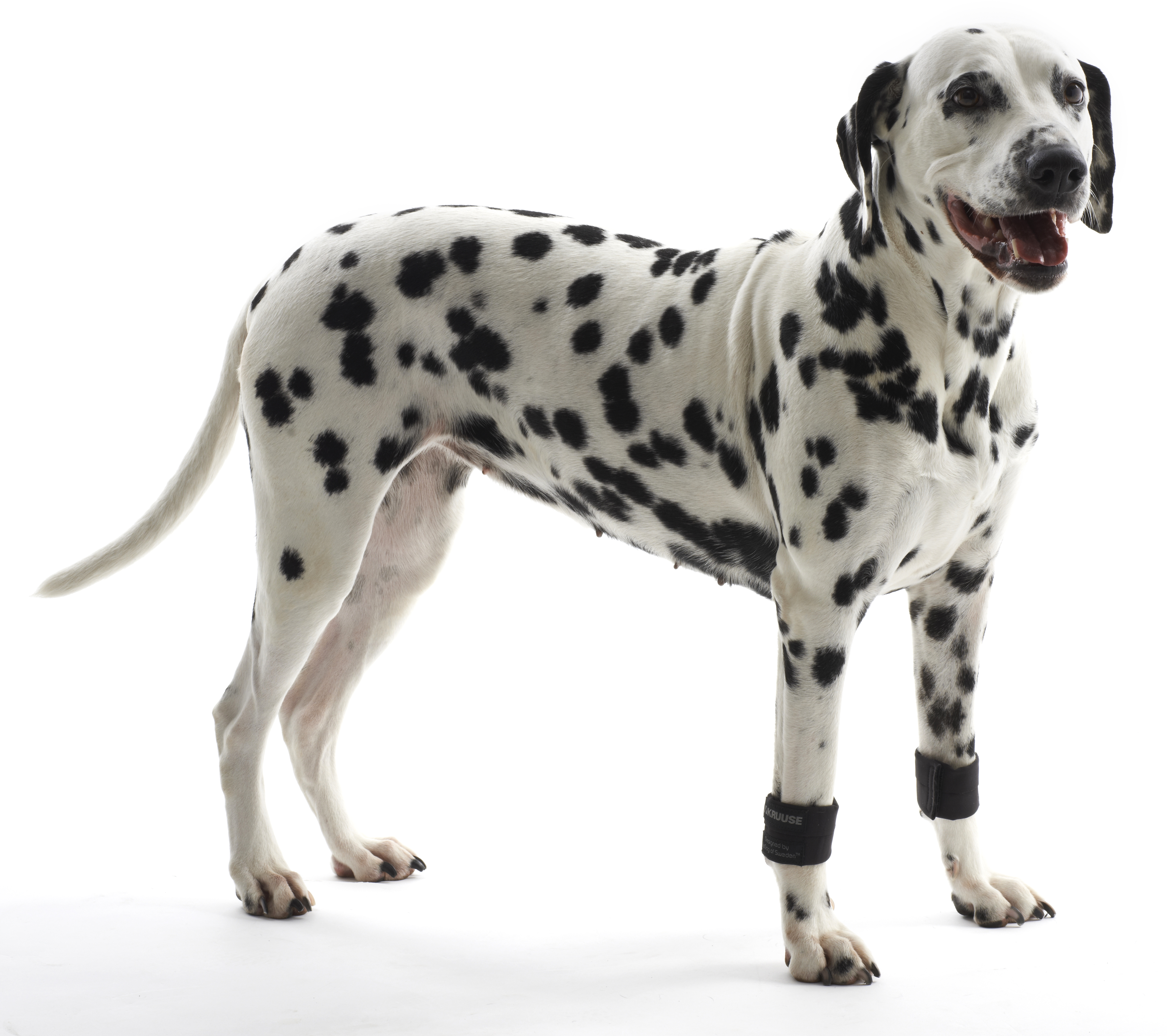 KRUUSE Rehab Weight Cuffs for dogs, XXXS, one pair