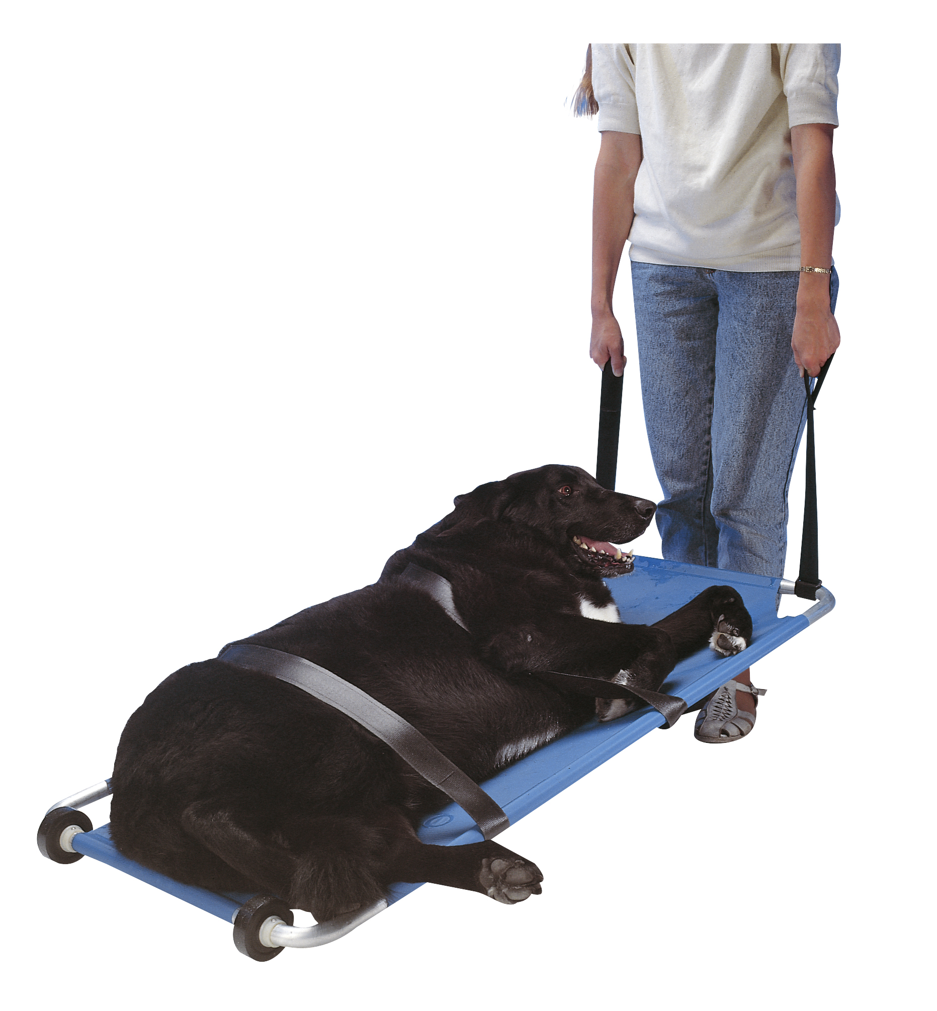 BUSTER animal stretcher 120 x 50 cm