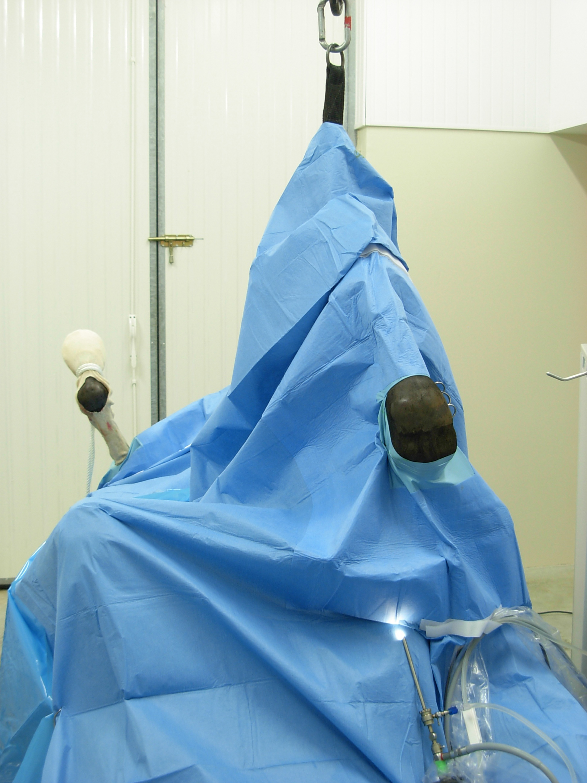EQUIVET Arthroscopy set, sterile