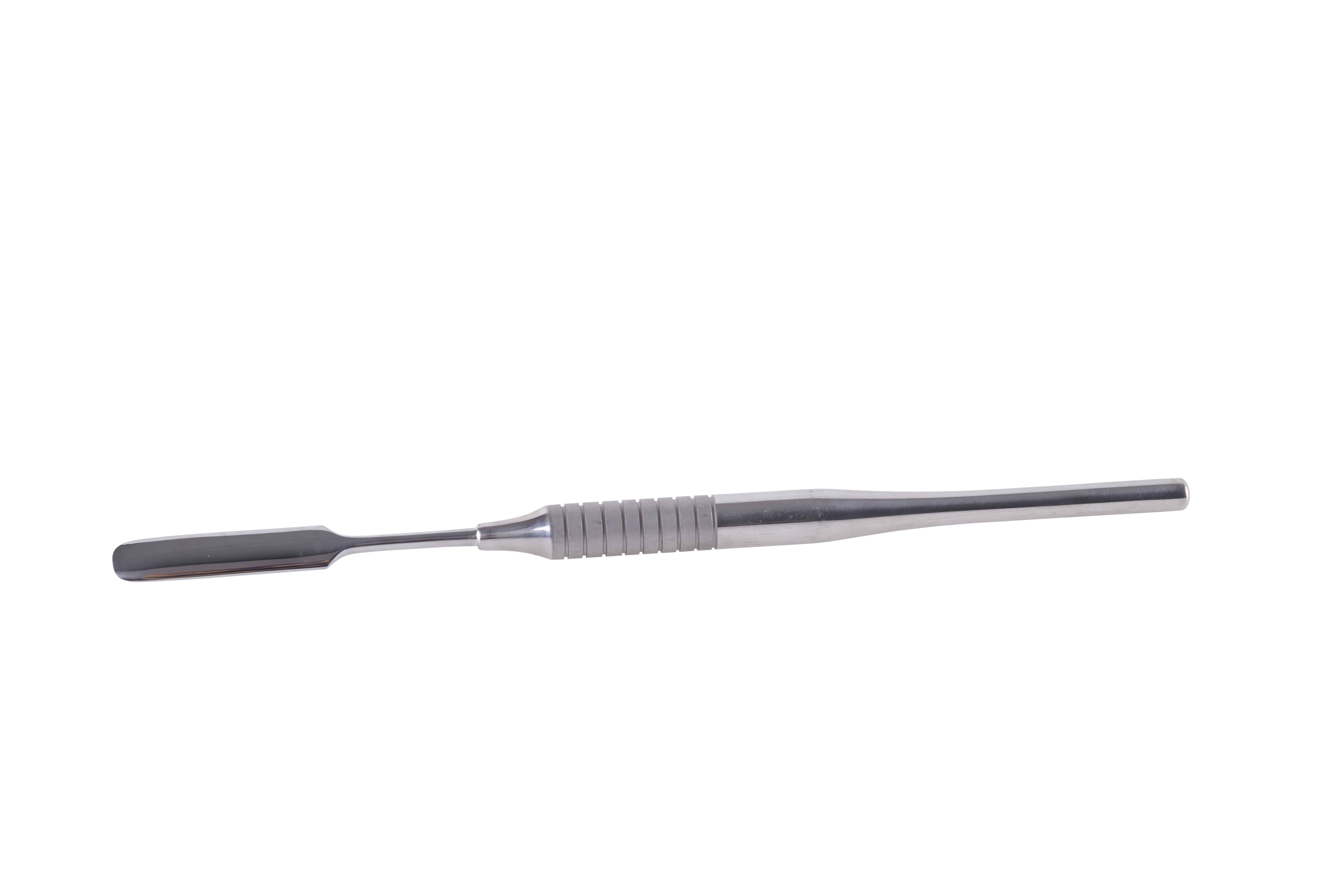 KRUUSE Spatula, Rodents