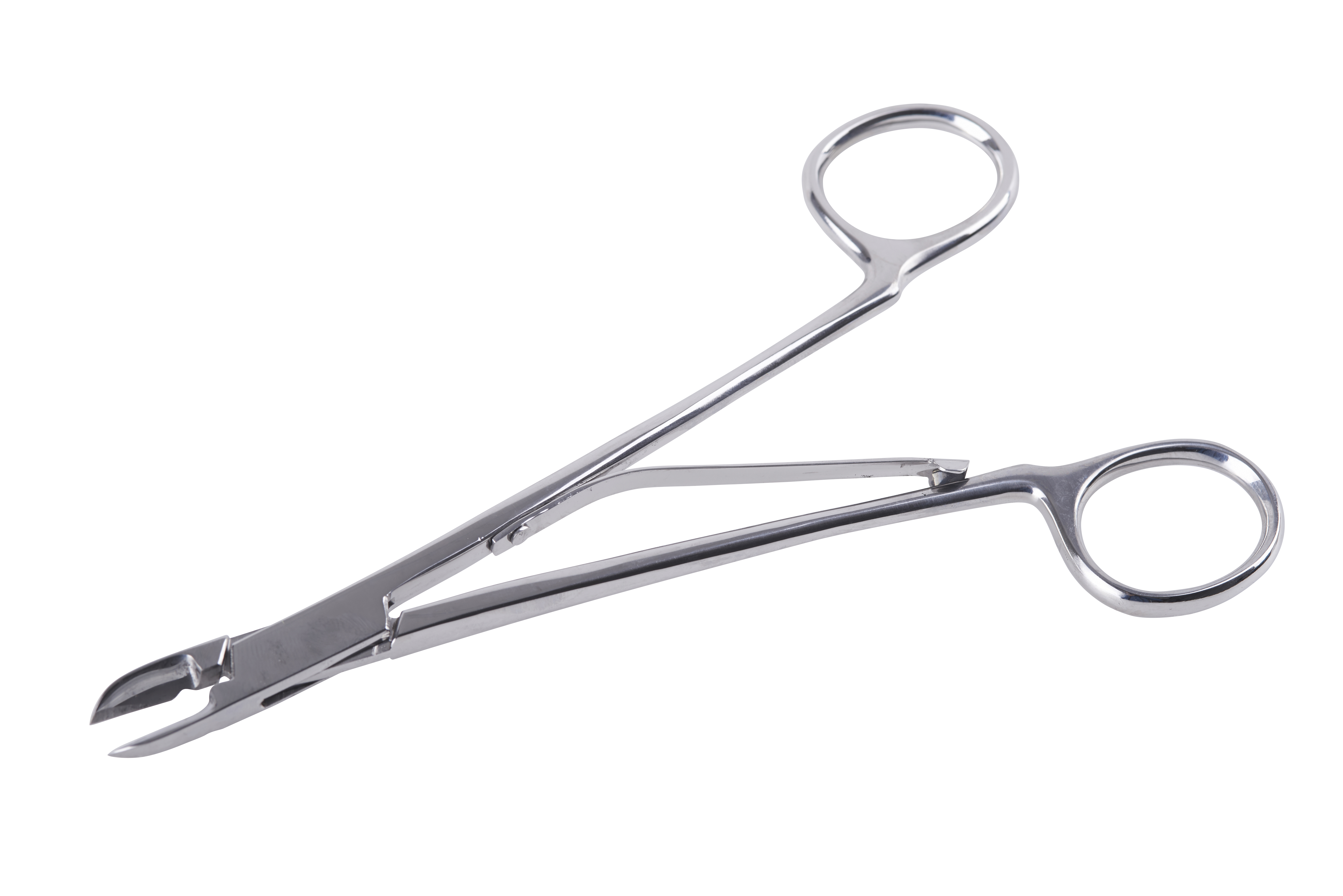 KRUUSE rabbit molar cutter, 17 cm