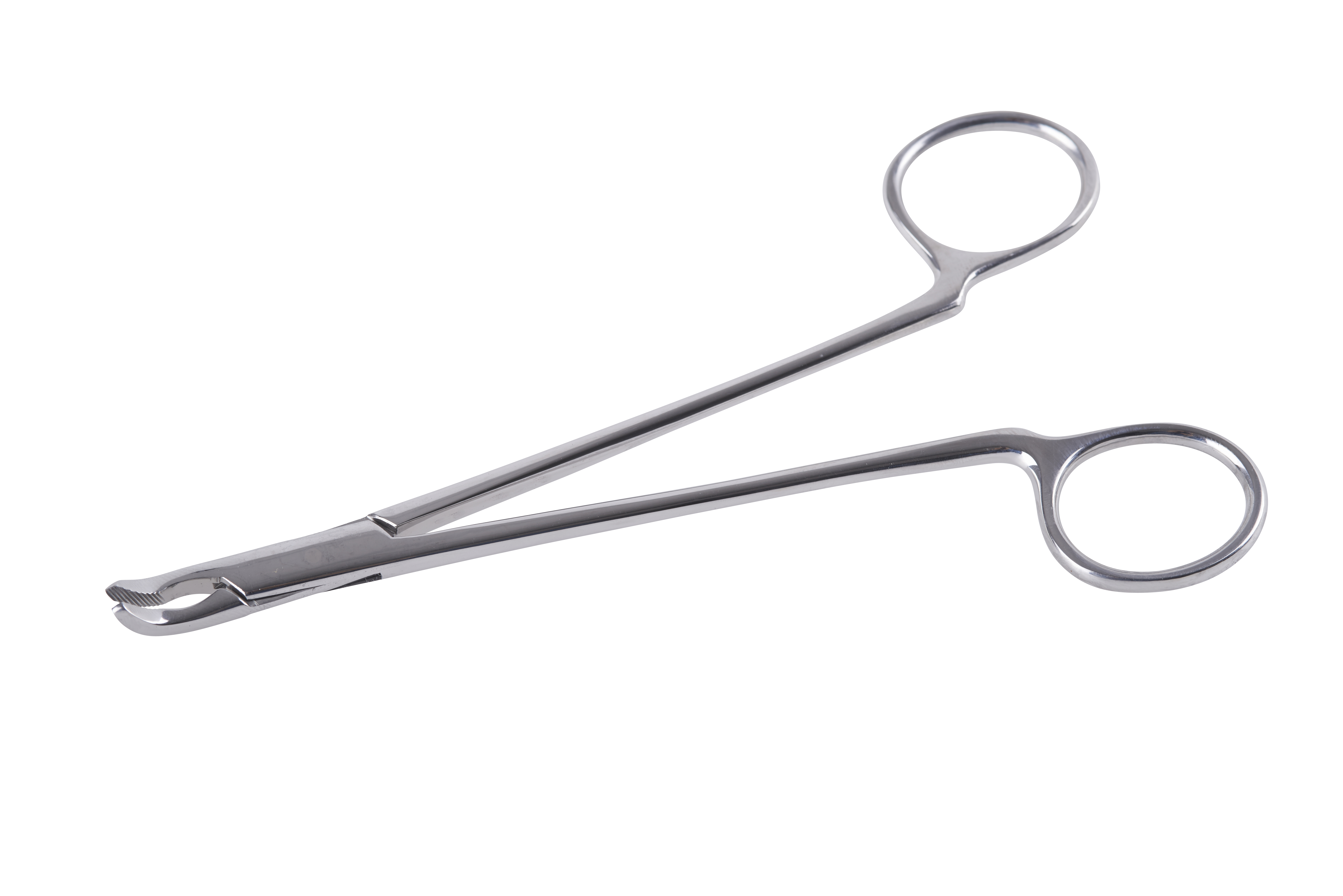 KRUUSE rabbit molar teeth extraction forcep