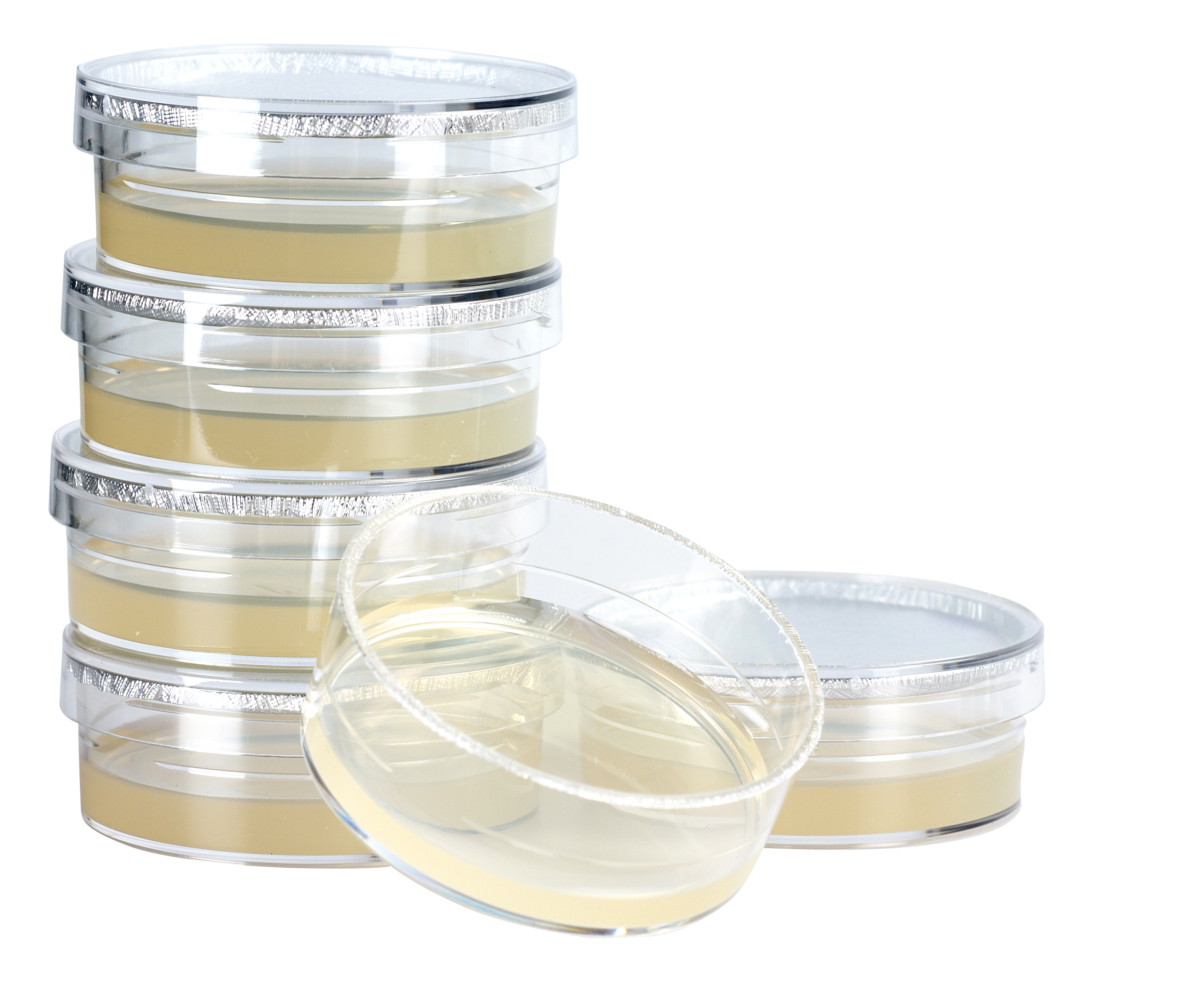 KRUUSE Sabaraud Agar Test, 6/pk