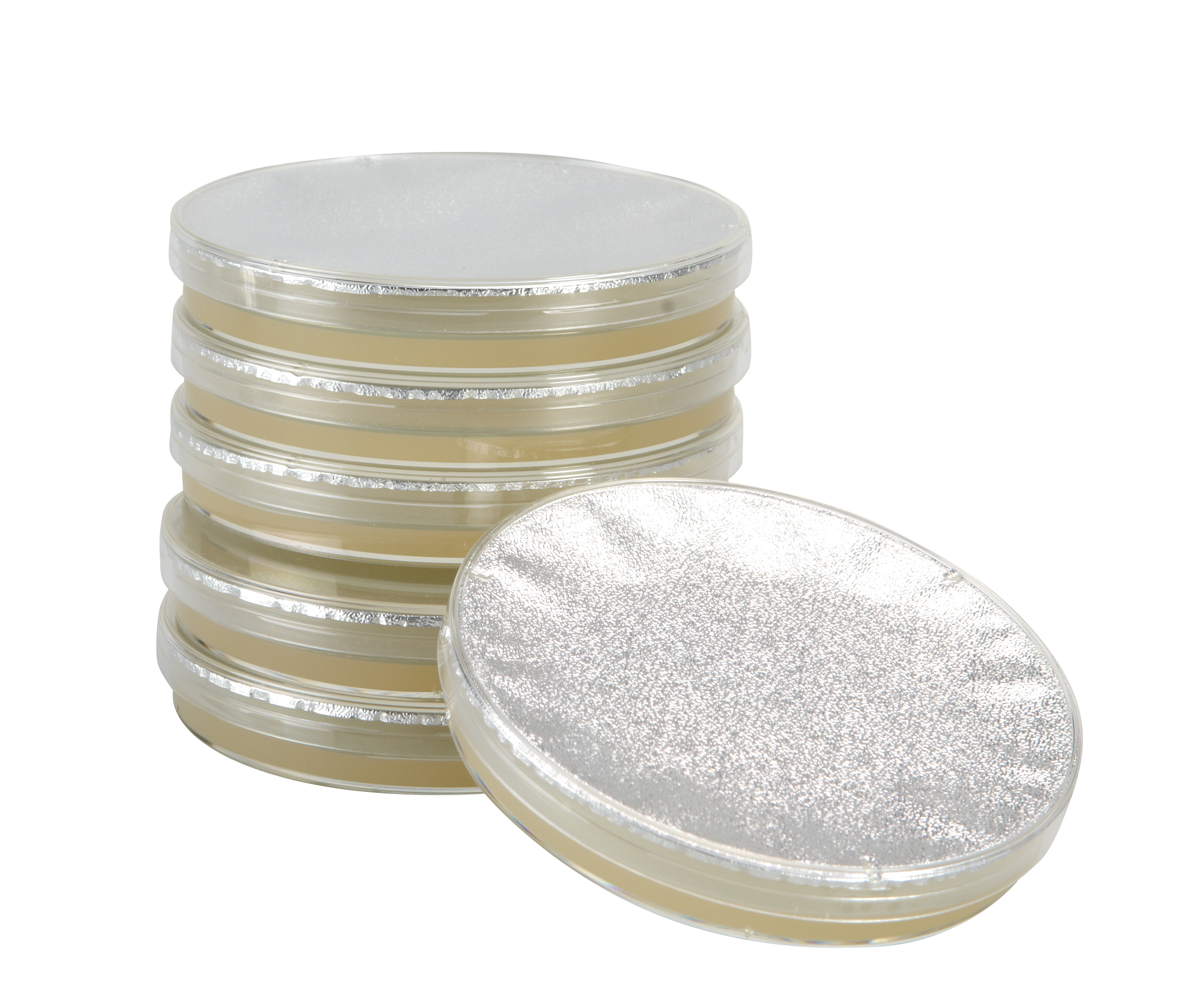 KRUUSE Müller Hinton agar, 6/pk