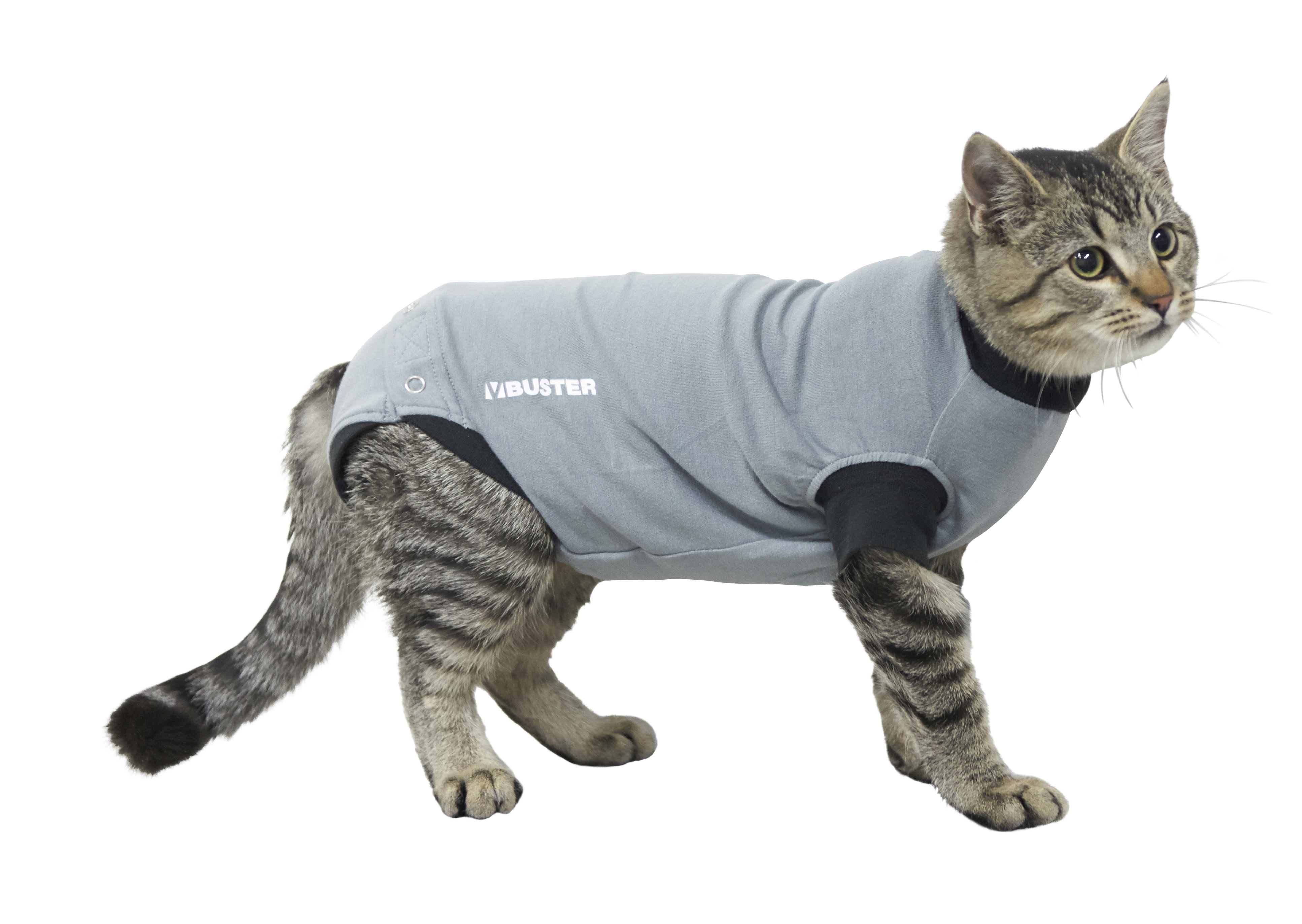 BUSTER Body Suit EasyGo for cats, black/grey